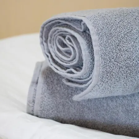 Hotel Panorama Solotvyno