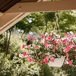 Panorama *